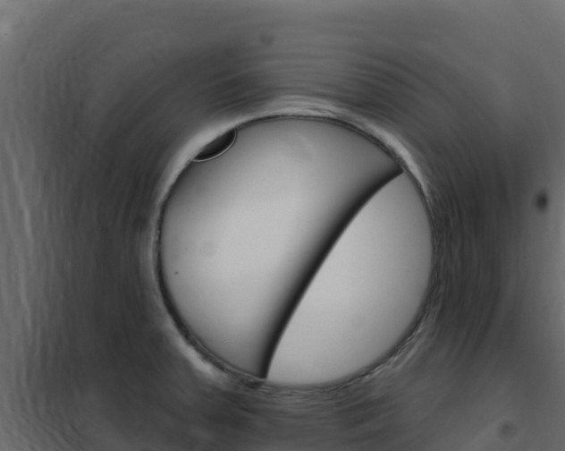 X0000102491379200808081046