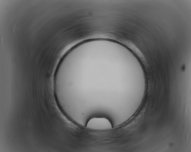 X0000102491380200808081046