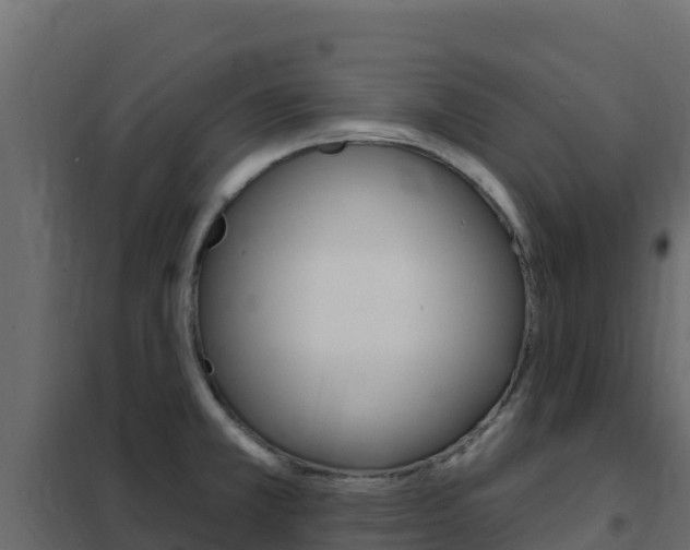X0000102491381200808081046