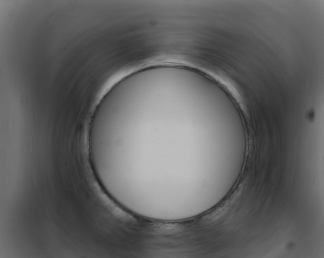 X0000102491382200808081046