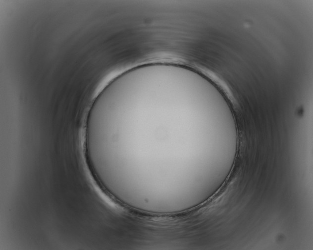 X0000102491383200808081046