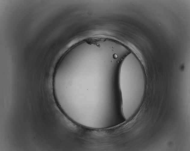 X0000102491384200808081046