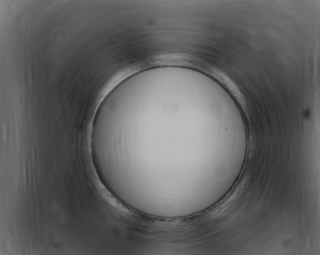 X0000102491386200808081046