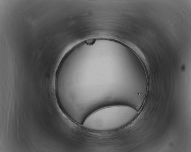 X0000102491388200808081046