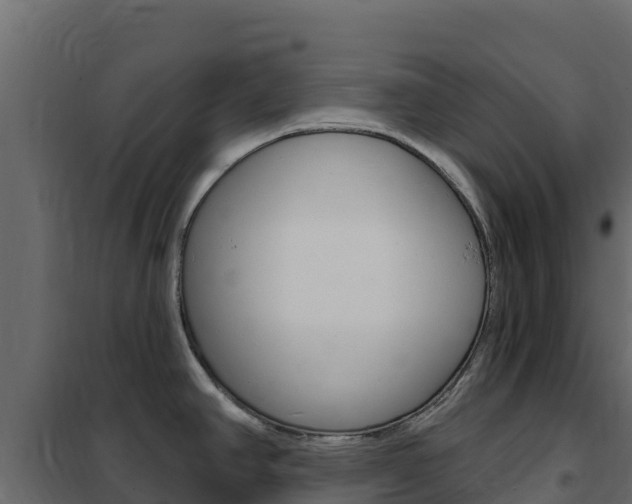 X0000102491390200808081046