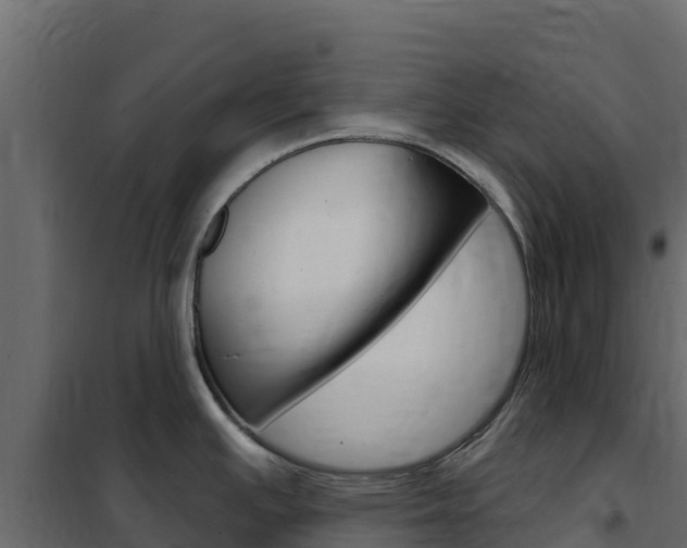 X0000102491391200808081046