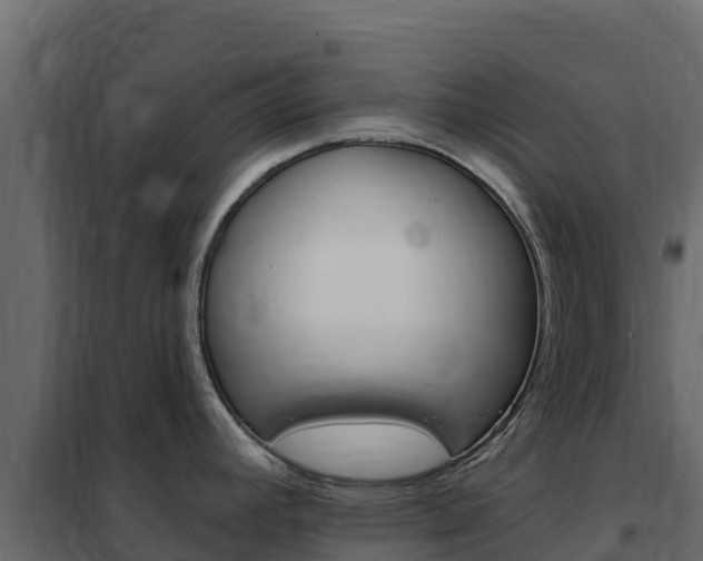 X0000102491392200808081046