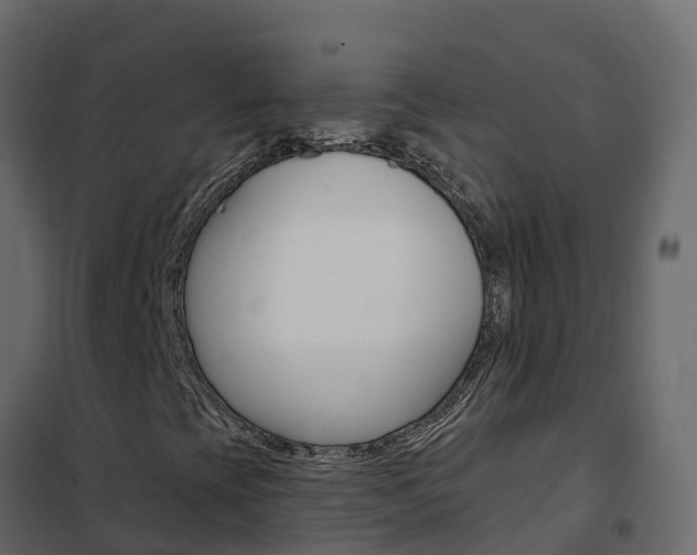 X0000102491393200808081045