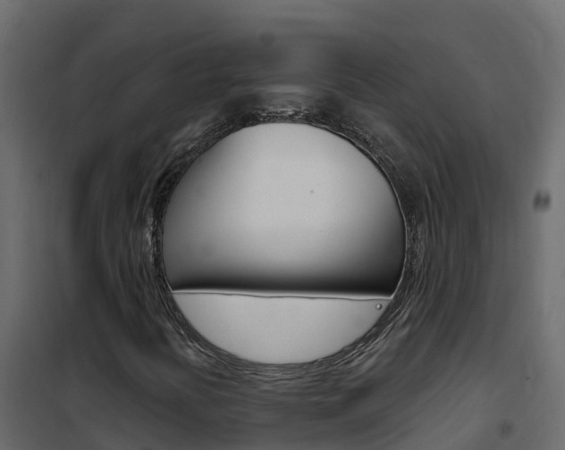 X0000102491394200808081045