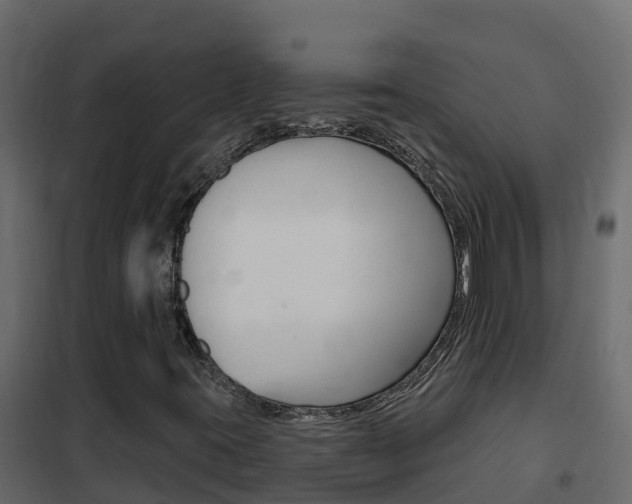 X0000102491395200808081045