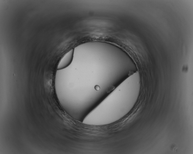 X0000102491396200808081045