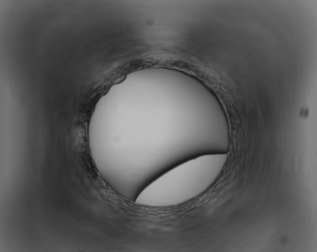 X0000102491397200808081045