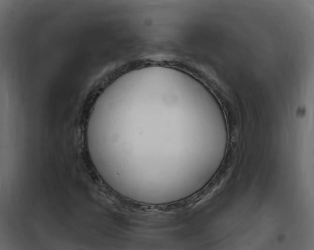 X0000102491398200808081045