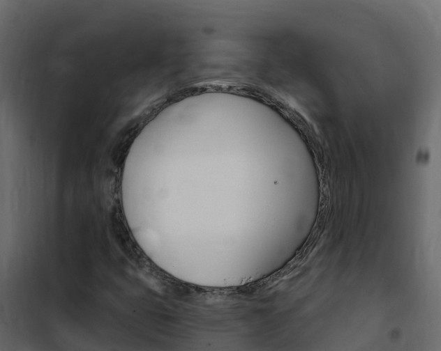 X0000102491399200808081045