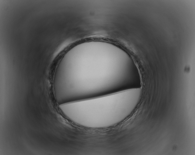 X0000102491400200808081045