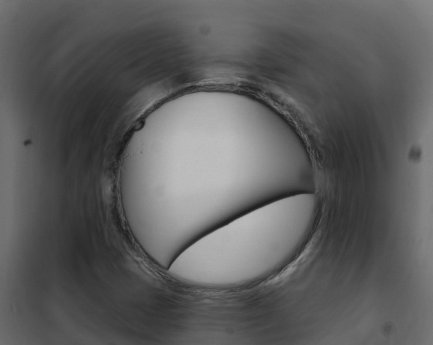 X0000102491401200808081045