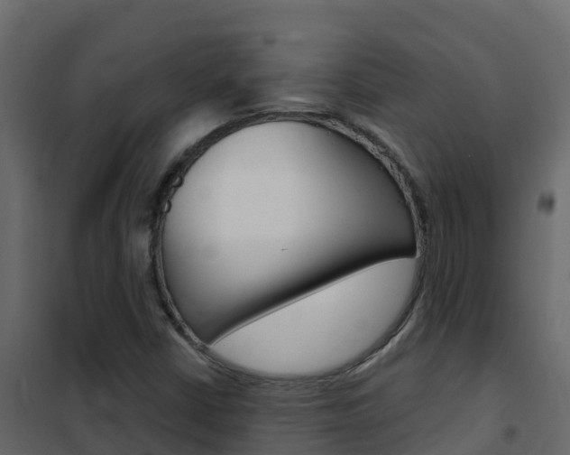 X0000102491402200808081045