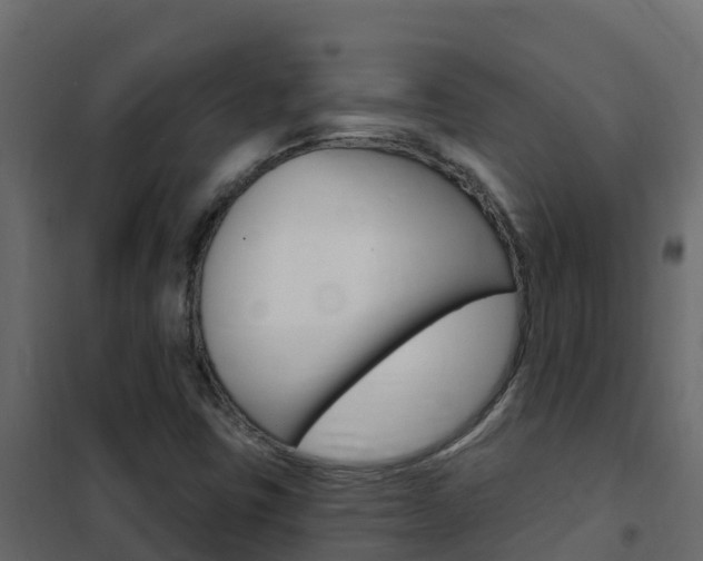 X0000102491403200808081045