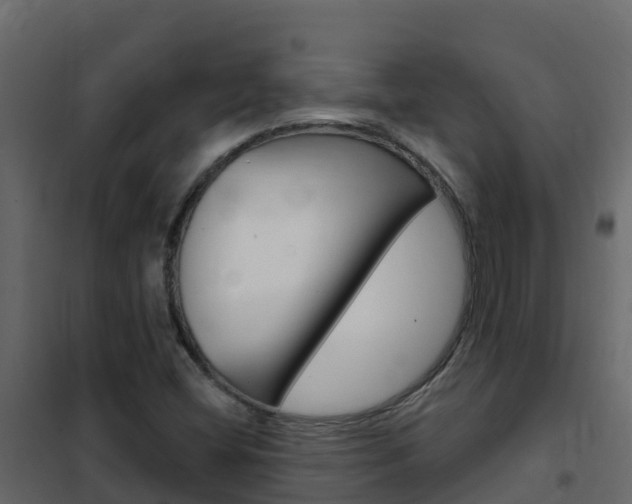 X0000102491404200808081045
