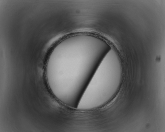 X0000102491406200808081045