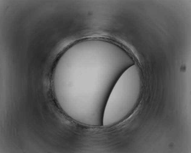 X0000102491407200808081045