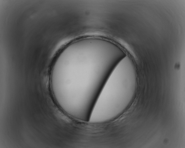 X0000102491408200808081045