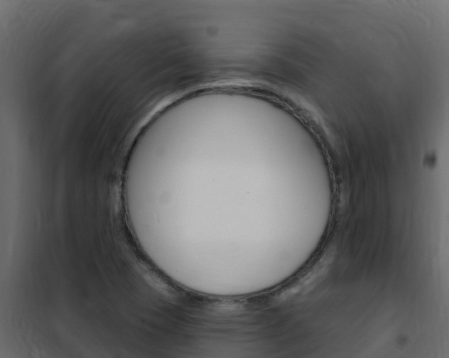 X0000102491409200808081045