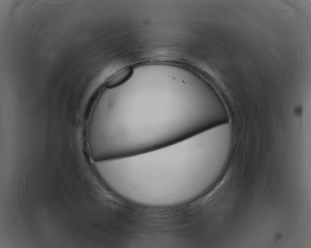 X0000102491410200808081045