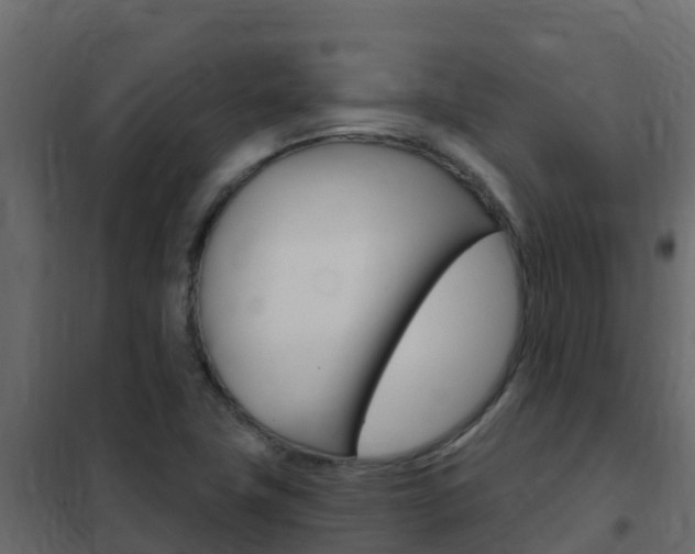 X0000102491411200808081045