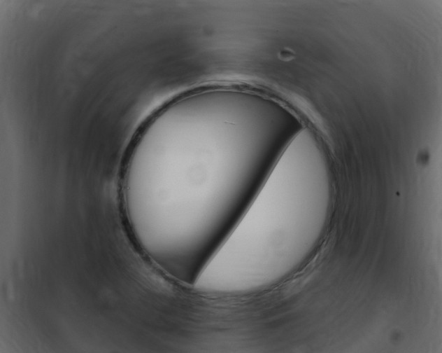 X0000102491412200808081045