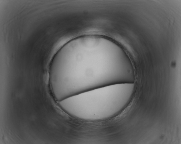 X0000102491413200808081045