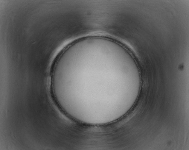 X0000102491414200808081045