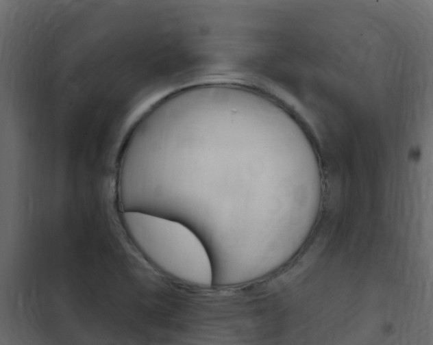 X0000102491415200808081045