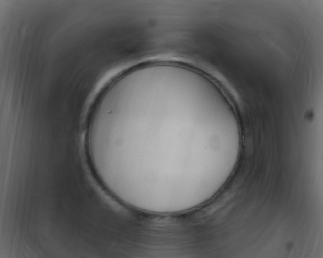 X0000102491416200808081045
