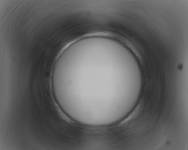 X0000102491417200808081045