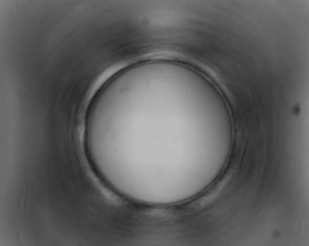 X0000102491418200808081046