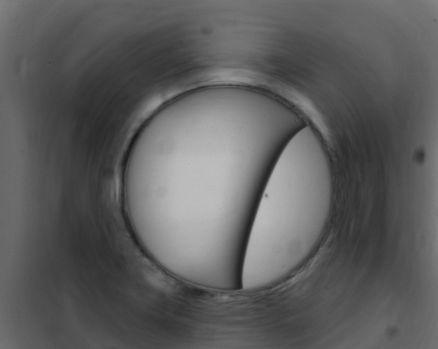 X0000102491419200808081046