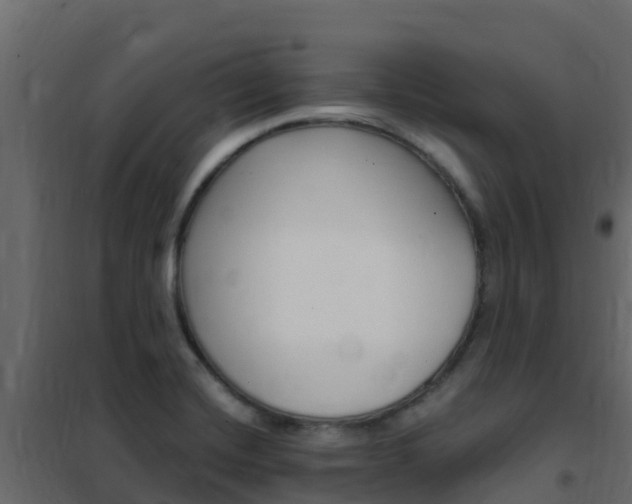 X0000102491420200808081046