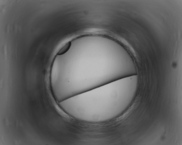 X0000102491421200808081046