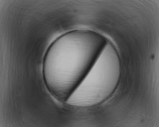 X0000102491424200808081046