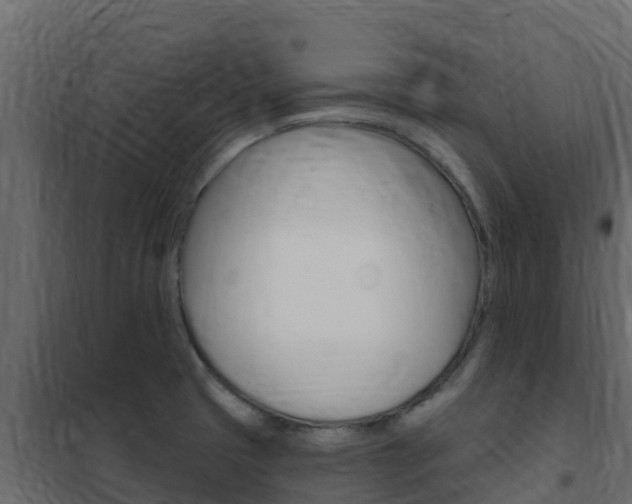 X0000102491425200808081046