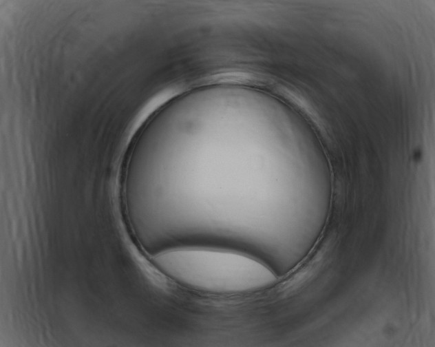 X0000102491426200808081046