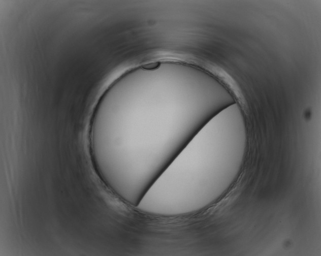 X0000102491427200808081046