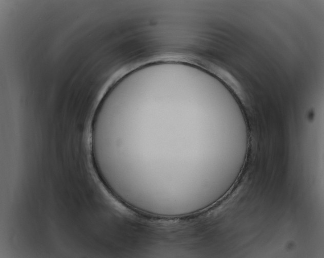 X0000102491428200808081046