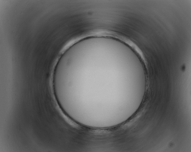 X0000102491429200808081046