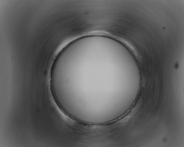 X0000102491430200808081046