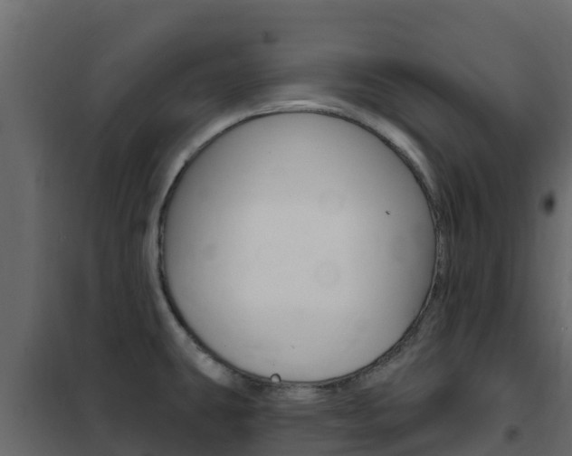 X0000102491431200808081046