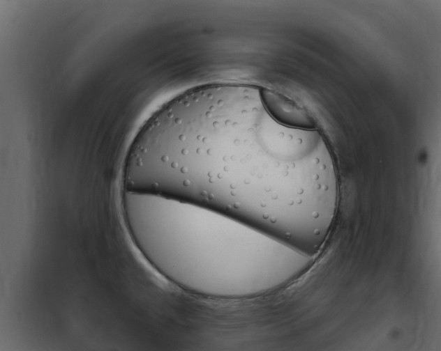 X0000102491432200808081046