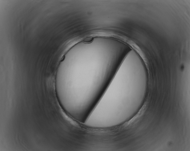 X0000102491433200808081046