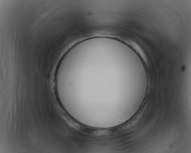 X0000102491435200808081046